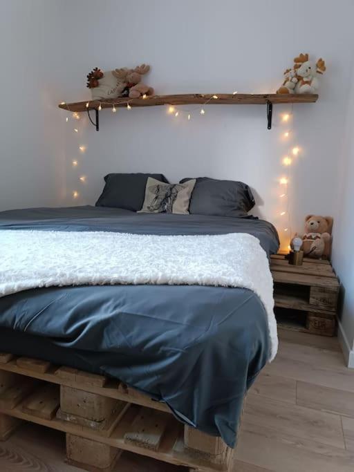 T2 Ultra Cosy En Hypercentre Apartment Tarare Luaran gambar